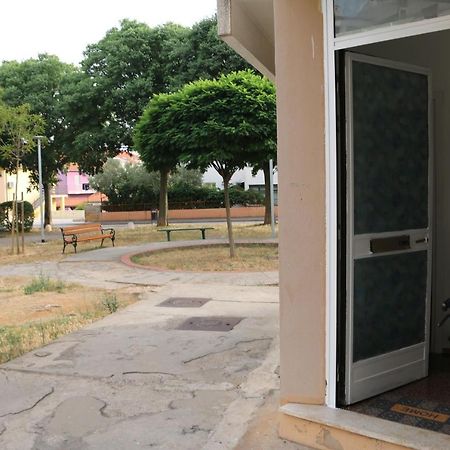 Cosy Apartment - 10 Minutes Walk To Sea ซาดาร์ ภายนอก รูปภาพ