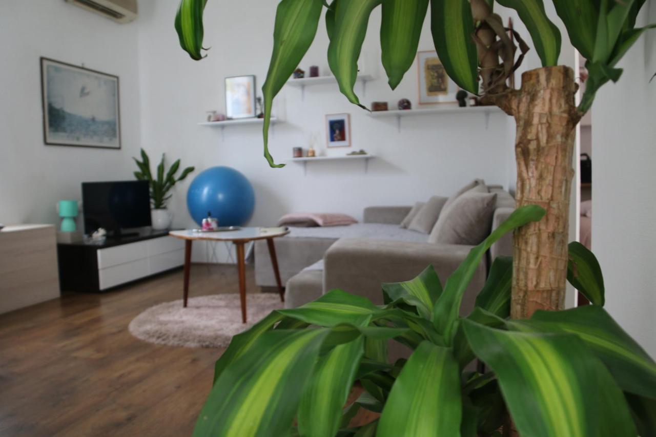 Cosy Apartment - 10 Minutes Walk To Sea ซาดาร์ ภายนอก รูปภาพ